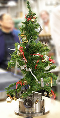 Lick Shops Tree