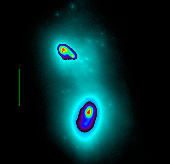 Colliding Galaxy Nuclei Detail