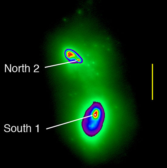 Colliding Galaxy Nuclei in IR light