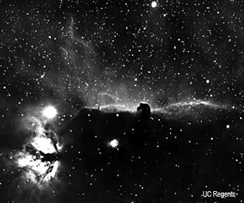Horsehead Nebula photographed with Astrograph