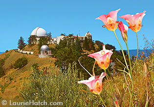 Domes of the Lick Observatory at Dusk