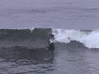 thumbs/dsc00003.png