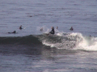 thumbs/dsc00016.png