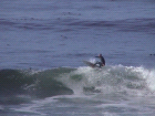 thumbs/dsc00017.png