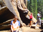 thumbs/pict1236.png