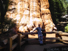 thumbs/pict1252.png