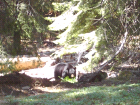 june2005