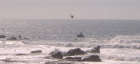thumbs/mavericks08.png