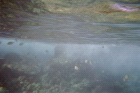 thumbs/img005.png