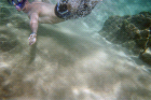 thumbs/img007.png