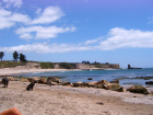 thumbs/4mileBeach.png