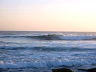 thumbs/cutback1.png