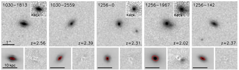 compact massive galaxies at
z=2
