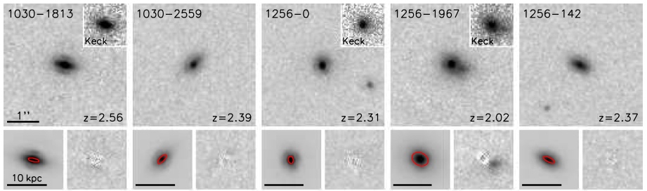 compact massive galaxies at
z=2