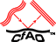 CfAO Logo