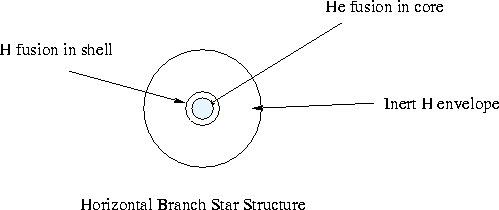 Structure of a Horizontal Branch Star
