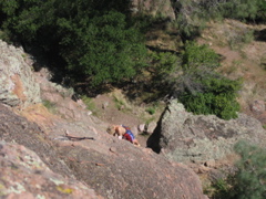 IMG_1197.JPG