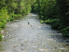 IMG_8900.JPG