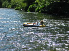 IMG_8889.JPG