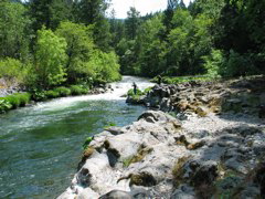 IMG_8891.JPG