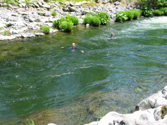 IMG_8892.JPG