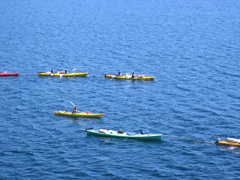 IMG_0422.JPG