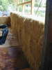 Photo34 (57K)