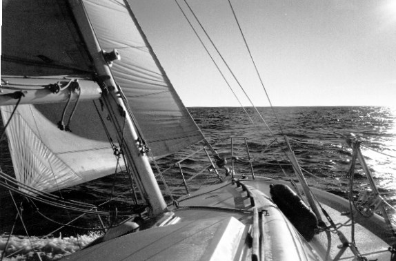 (Picture of Sailboat)