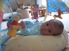 S4300047.JPG