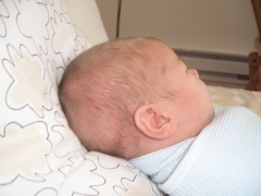 S4300007.JPG