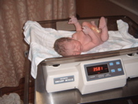 S4300053.JPG