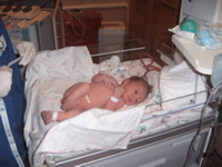 S4300081.JPG