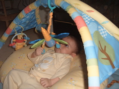 S4300134.JPG