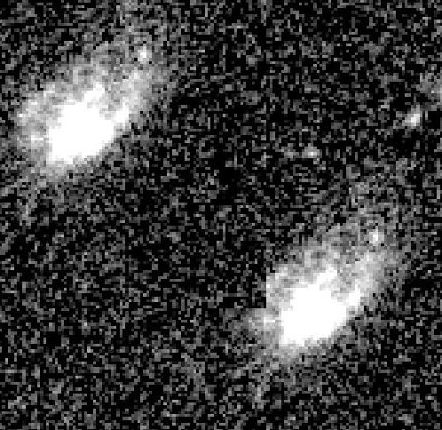 Identical, Simulated Galaxies