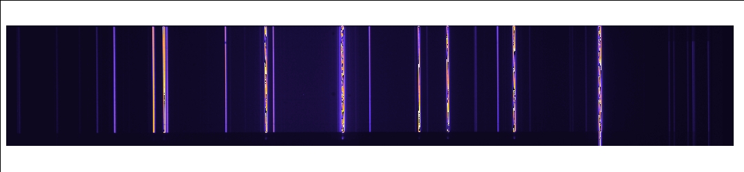 Reference Image