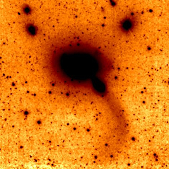 Tidal features around NGC 5576